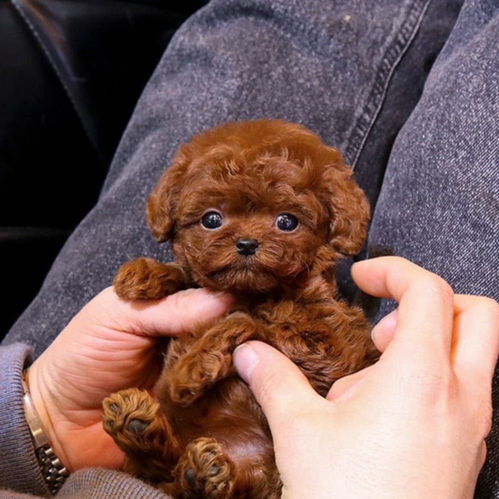 RoboDog™ | Realistische robothond