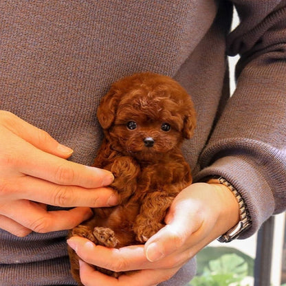 RoboDog™ | Realistische robothond