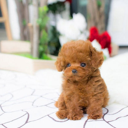 RoboDog™ | Realistische robothond