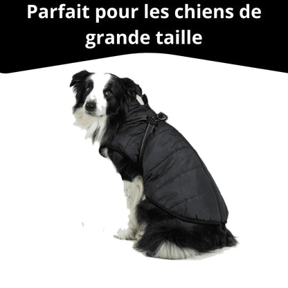 Jas voor honden