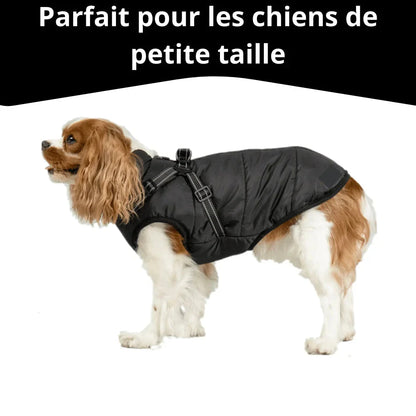 Jas voor honden