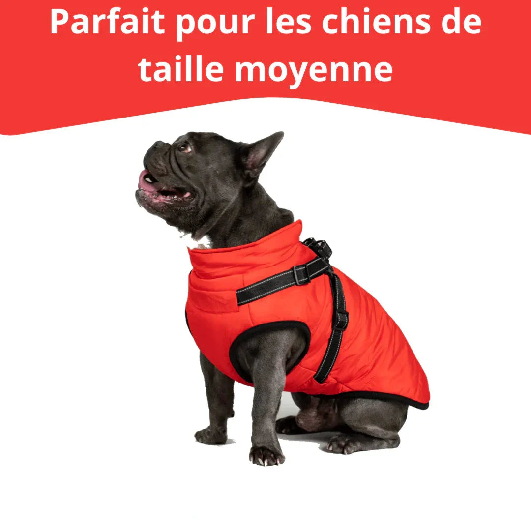 Jas voor honden