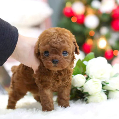 RoboDog™ | Realistische robothond